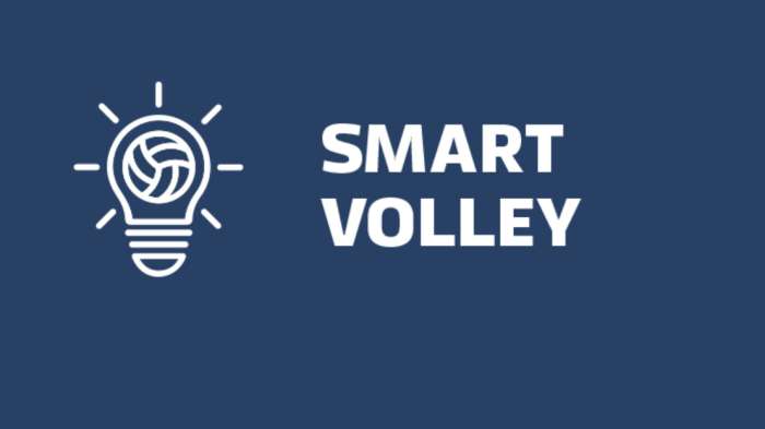 ВФВ запускает онлайн-курс Smart Volley